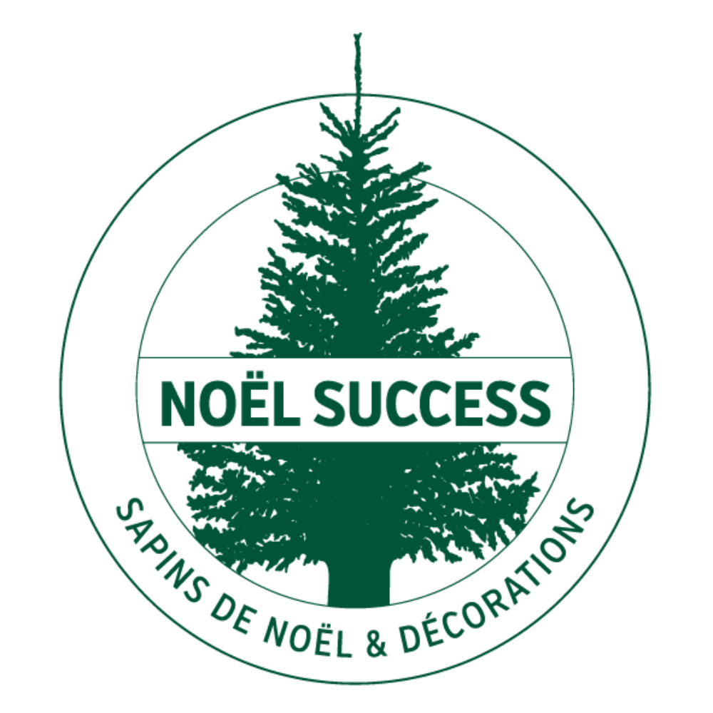 Noel Success