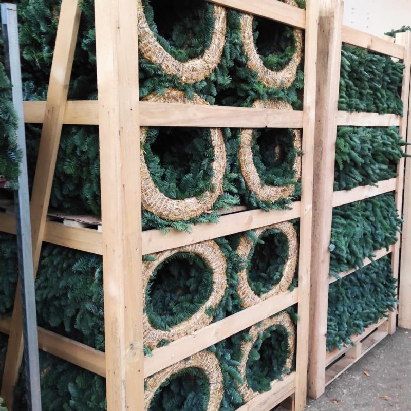 WhatsApp Image 2025-06-10 à 16.17.39_a5b60a8e