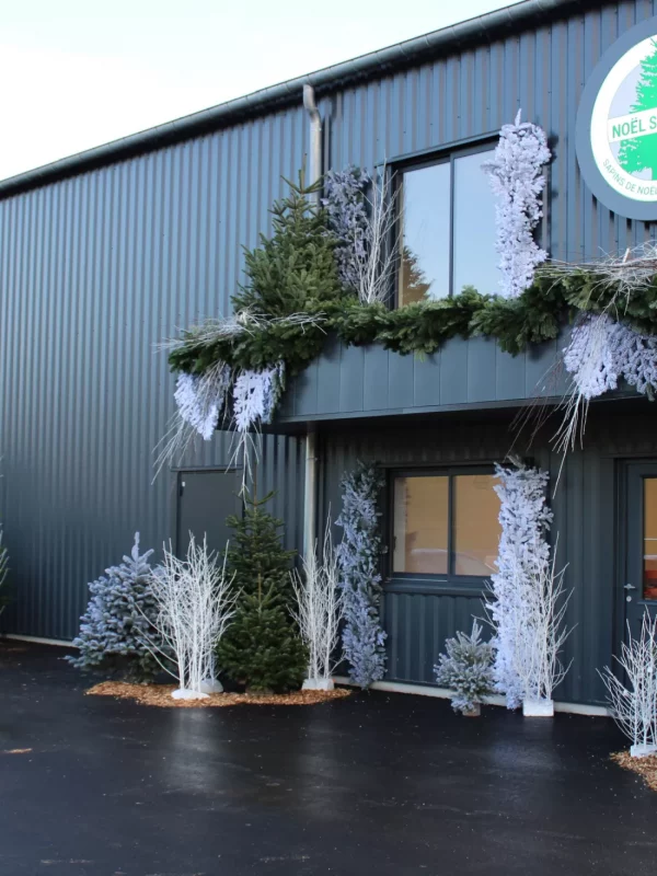 img20211112162733_img_0409_1_1655374078_w2200