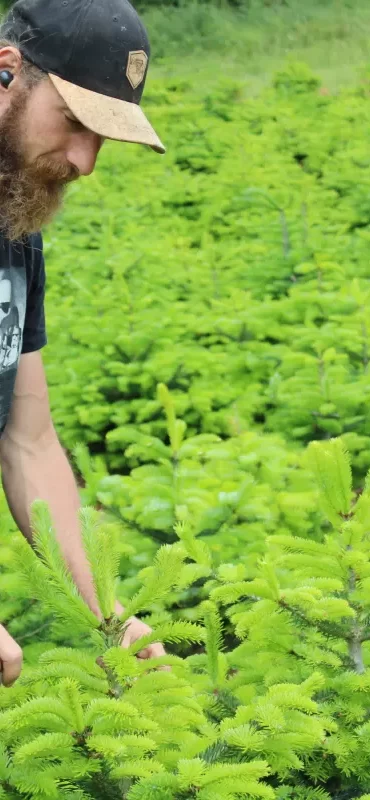 img20220527095645_img_0981_1_1656063931_w1200