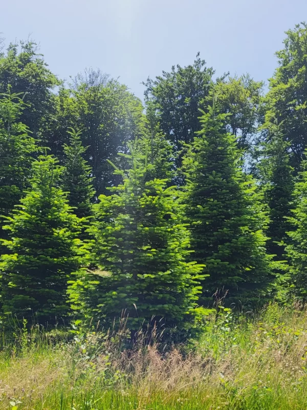 img20220617_143212_1658426536_w2200