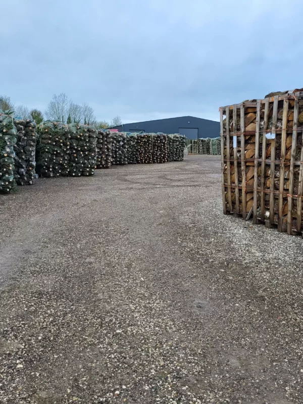 img20221116_103359_1680158384_w2200