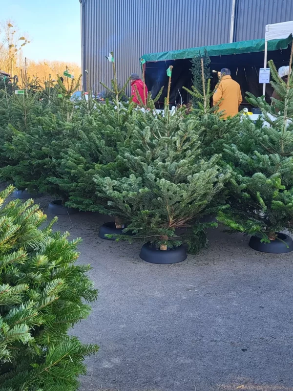 img20221213_153703_1678786474_w2200