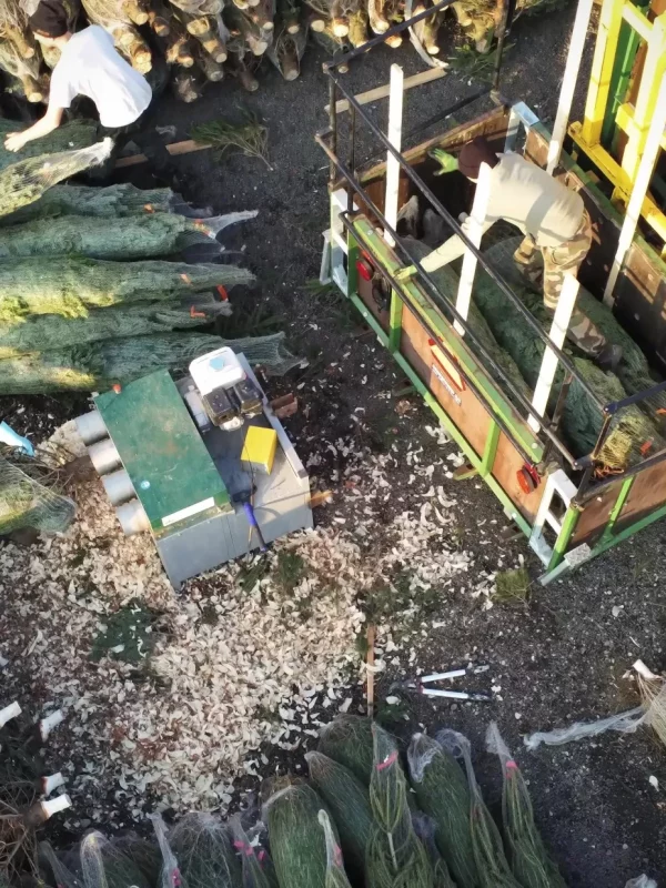 imgasso_filet_1655374512_w2200