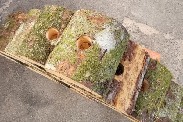 imgbuche_1_1656061706_w800