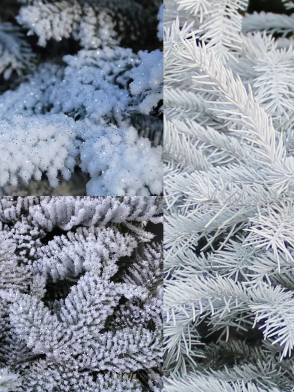 imgfinitions_horizontal_1655019925_w2200