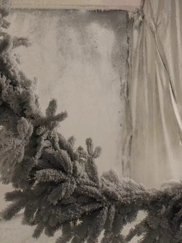 imgimg_8726_1678782858_w2200