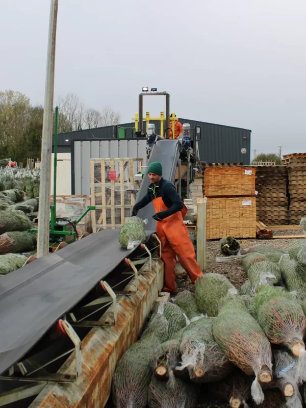 imgimg_8832_1678777340_w2200