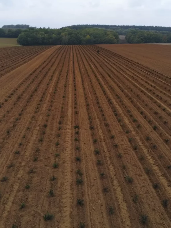 imgp2460252_1657692403_w2200