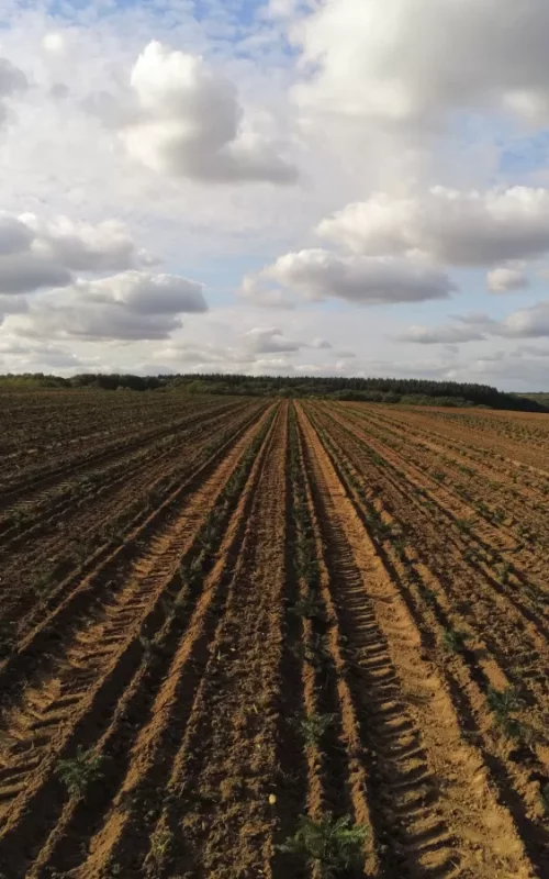 imgp3890395_1678696212_w1200