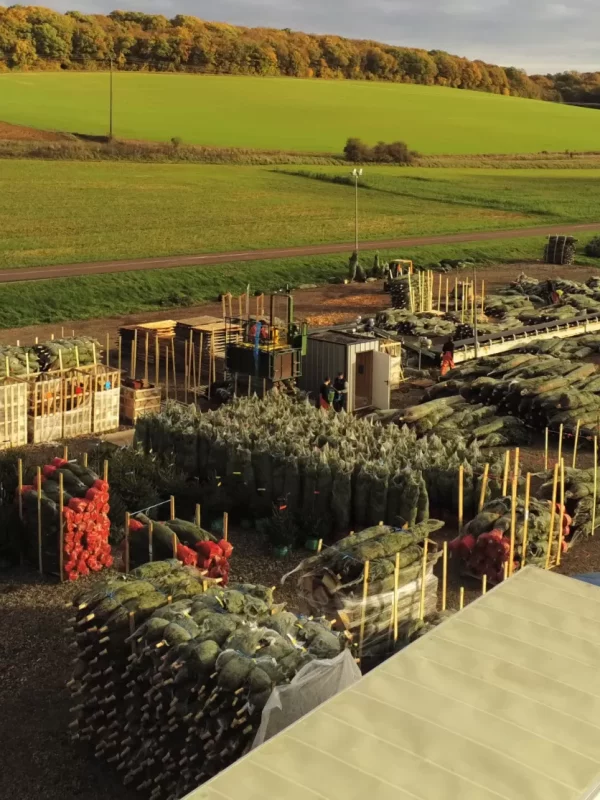 imgp5480554_1678776592_w2200