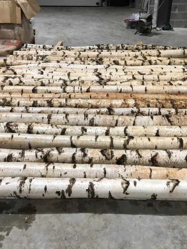 imgsur_mesure_1_1656063031_w2200